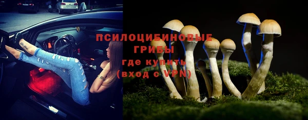 индика Нягань