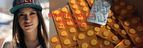 крисы Новозыбков