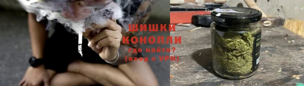 spice Верея