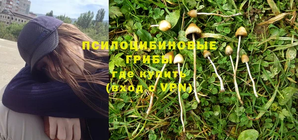 spice Верея