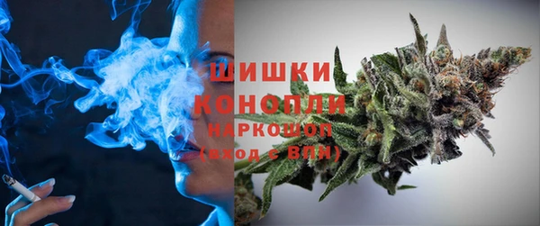 крисы Новозыбков