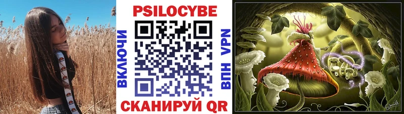 Псилоцибиновые грибы Psilocybe  купить наркоту  Тула 